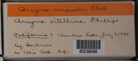 Image Associated With the Occurence